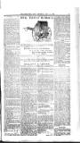 Dungannon News Thursday 11 July 1901 Page 3