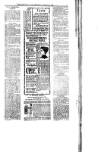 Dungannon News Thursday 16 January 1902 Page 7