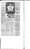 Dungannon News Thursday 05 June 1902 Page 3