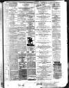 Bassett's Chronicle Saturday 26 December 1874 Page 3