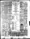 Bassett's Chronicle Saturday 01 May 1875 Page 3