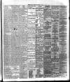 Bassett's Chronicle Wednesday 02 January 1878 Page 3