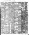 Bassett's Chronicle Tuesday 22 January 1878 Page 3
