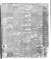 Bassett's Chronicle Tuesday 30 April 1878 Page 3