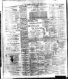 Bassett's Chronicle Thursday 06 January 1881 Page 2