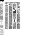 Waterford Star Saturday 18 November 1893 Page 5