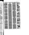 Waterford Star Saturday 02 December 1893 Page 5