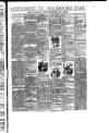 Waterford Star Saturday 29 December 1894 Page 5