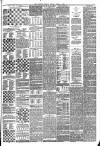 Glasgow Weekly Herald Saturday 01 March 1884 Page 7