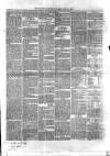 Teviotdale Record and Jedburgh Advertiser Saturday 14 June 1862 Page 3