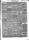 Teviotdale Record and Jedburgh Advertiser Saturday 02 January 1864 Page 3