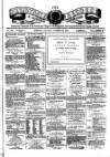Teviotdale Record and Jedburgh Advertiser Saturday 19 November 1864 Page 1