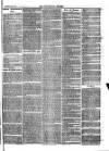 Teviotdale Record and Jedburgh Advertiser Saturday 20 May 1865 Page 7