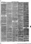 Teviotdale Record and Jedburgh Advertiser Saturday 16 December 1865 Page 7