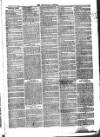 Teviotdale Record and Jedburgh Advertiser Saturday 04 January 1868 Page 7