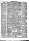 Teviotdale Record and Jedburgh Advertiser Saturday 30 January 1869 Page 7