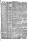 Teviotdale Record and Jedburgh Advertiser Saturday 27 February 1869 Page 3