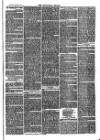 Teviotdale Record and Jedburgh Advertiser Saturday 25 March 1871 Page 3