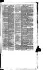 Teviotdale Record and Jedburgh Advertiser Saturday 02 March 1872 Page 7