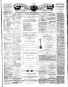 Teviotdale Record and Jedburgh Advertiser Saturday 28 February 1874 Page 1