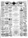 Teviotdale Record and Jedburgh Advertiser Saturday 20 June 1874 Page 1