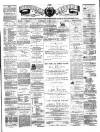 Teviotdale Record and Jedburgh Advertiser Saturday 27 June 1874 Page 1