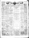 Teviotdale Record and Jedburgh Advertiser Saturday 27 February 1875 Page 1