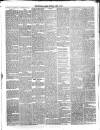 Teviotdale Record and Jedburgh Advertiser Saturday 03 April 1875 Page 3