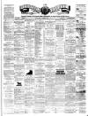Teviotdale Record and Jedburgh Advertiser Saturday 03 February 1877 Page 1