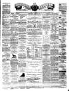 Teviotdale Record and Jedburgh Advertiser Saturday 03 March 1877 Page 1