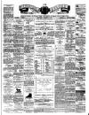 Teviotdale Record and Jedburgh Advertiser Saturday 10 March 1877 Page 1