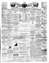 Teviotdale Record and Jedburgh Advertiser Saturday 17 March 1877 Page 1