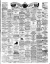 Teviotdale Record and Jedburgh Advertiser Saturday 24 March 1877 Page 1