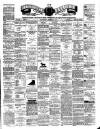 Teviotdale Record and Jedburgh Advertiser Saturday 31 March 1877 Page 1