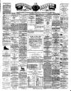 Teviotdale Record and Jedburgh Advertiser Saturday 19 May 1877 Page 1