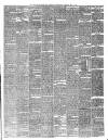 Teviotdale Record and Jedburgh Advertiser Saturday 19 May 1877 Page 3