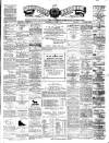 Teviotdale Record and Jedburgh Advertiser Saturday 02 June 1877 Page 1