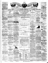 Teviotdale Record and Jedburgh Advertiser Saturday 23 June 1877 Page 1