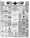 Teviotdale Record and Jedburgh Advertiser Saturday 30 June 1877 Page 1