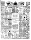 Teviotdale Record and Jedburgh Advertiser Saturday 07 July 1877 Page 1