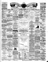 Teviotdale Record and Jedburgh Advertiser Saturday 04 August 1877 Page 1