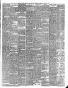 Teviotdale Record and Jedburgh Advertiser Saturday 04 August 1877 Page 3