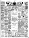 Teviotdale Record and Jedburgh Advertiser Saturday 11 August 1877 Page 1
