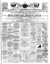 Teviotdale Record and Jedburgh Advertiser Saturday 13 October 1877 Page 1