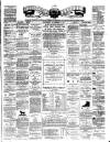 Teviotdale Record and Jedburgh Advertiser Saturday 17 November 1877 Page 1