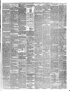 Teviotdale Record and Jedburgh Advertiser Saturday 17 November 1877 Page 3