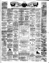 Teviotdale Record and Jedburgh Advertiser Saturday 01 December 1877 Page 1