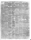 Teviotdale Record and Jedburgh Advertiser Saturday 01 December 1877 Page 3