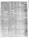 Teviotdale Record and Jedburgh Advertiser Saturday 19 January 1878 Page 3