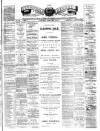 Teviotdale Record and Jedburgh Advertiser Saturday 09 February 1878 Page 1